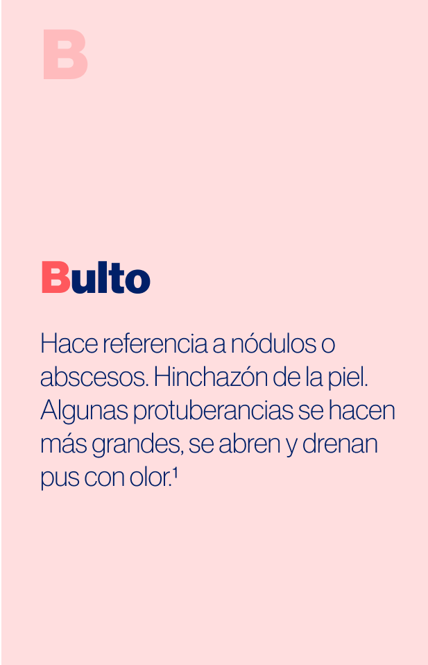 Bulto